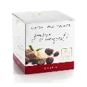 Dragees zenzero fondente scatola 120 g